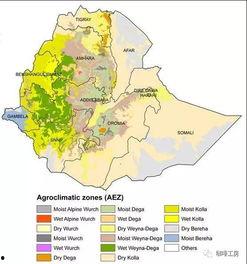 69精品产区最新在线播放,在线视听盛宴，尽享视听新体验